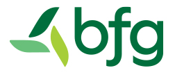 BFG Logo 4C